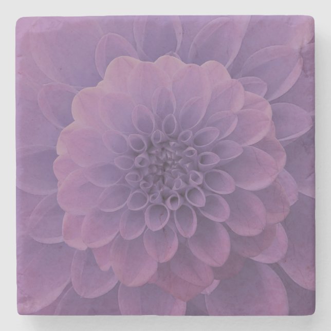 Purple Dahlia Stone Coaster (Front)