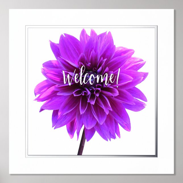 Purple Dahlia w Foil Welcome & Edge Print Poster (Front)