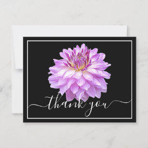 Purple Dahlia With Black Background Thank You Postcard