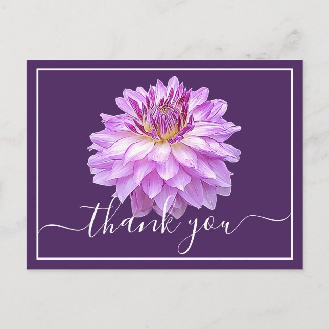 Purple Dahlia With Purple Background Thank You Postcard (Front)