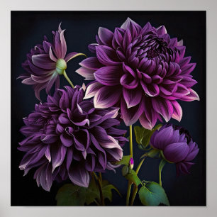 Purple Dahlias Flower Art Print Poster