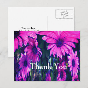 Purple Daisies Abstract Floral Thank You Postcard