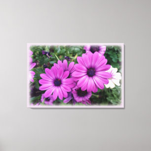 Purple daisies canvas print