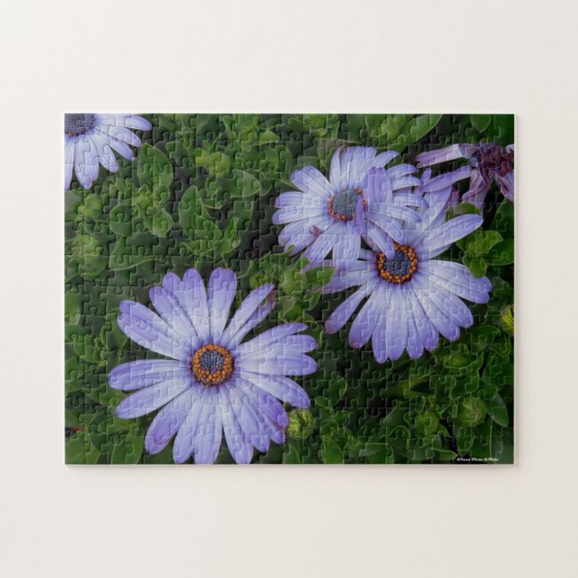 Purple Daisies Puzzle (Horizontal)