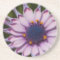 Purple Daisy Coaster