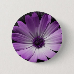 Purple Daisy Flower Button