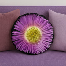 Purple Daisy Flower Closee-up Boho Cheerful Floral