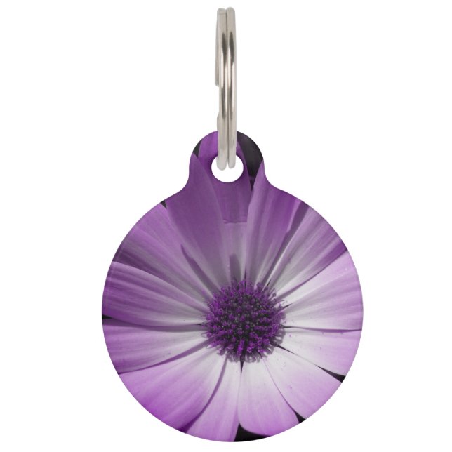 Purple Daisy Flower Dog Tag (Front)