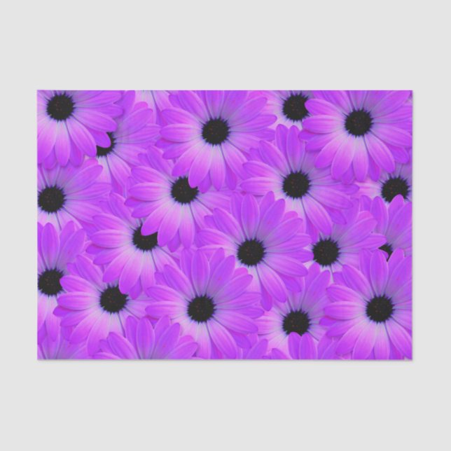Purple daisy flower floral cute summer tissue paper (Front)