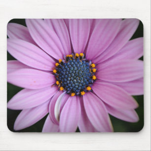 Purple Daisy Flower Lover Mouse Pad