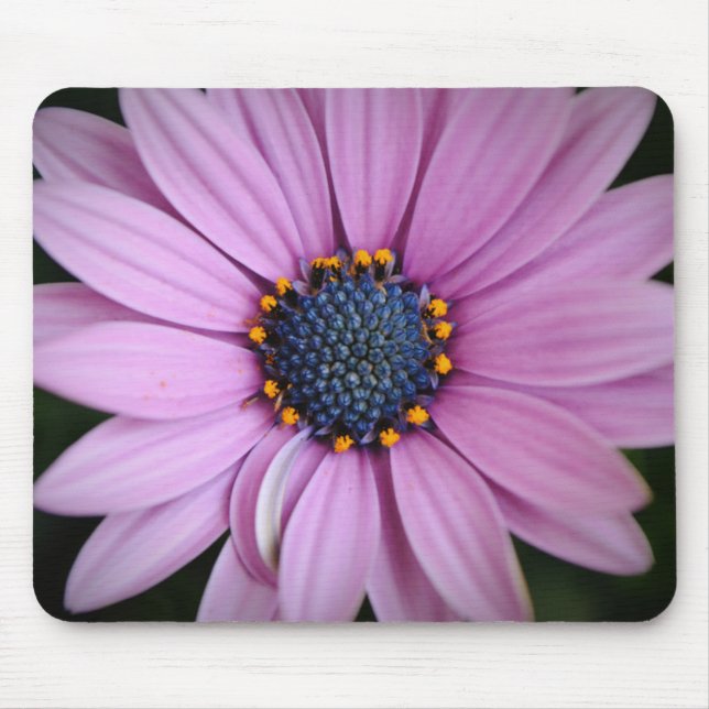 Purple Daisy Flower Lover Mouse Pad (Front)