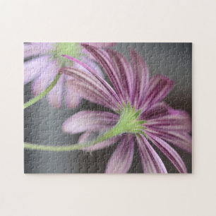 Purple Daisy Flower - Nature Photography Jigsaw Puzzle
