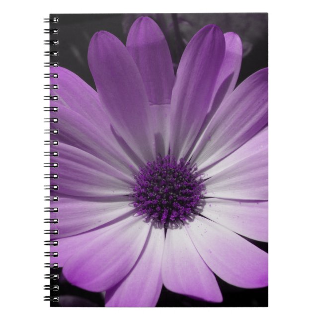 Purple Daisy Flower Notebook (Front)