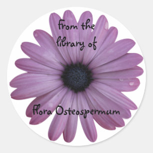 Purple Daisy Flower Osteospermum Custom Bookplate Classic Round Sticker