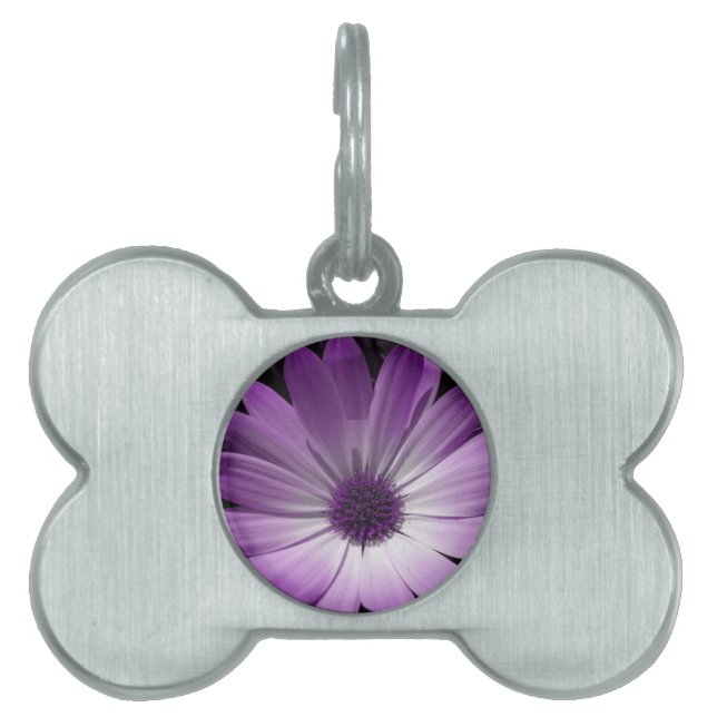 Purple Daisy Flower Pet Tag (Front)