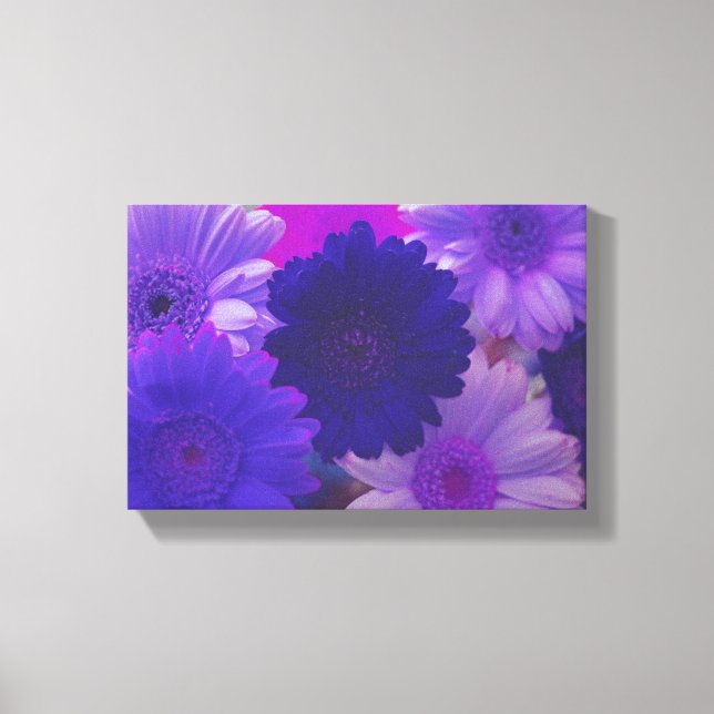 Purple Daisy Flower Photo Canvas Wall Art Print (Front)
