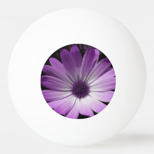 Purple Daisy Flower Ping Pong Ball