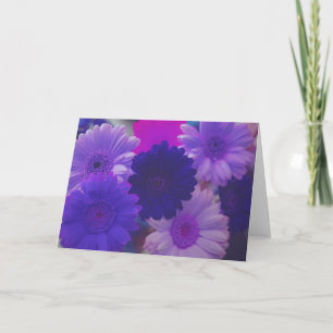 Purple Daisy Flowers Photo Note or Greeting Card