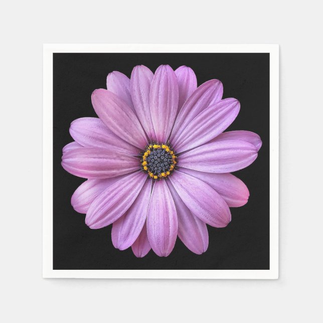 Purple Daisy on Black Party Paper Napkins (Front)