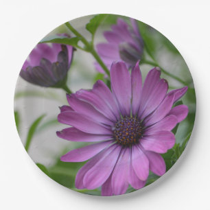 Purple Daisy Paper Plate