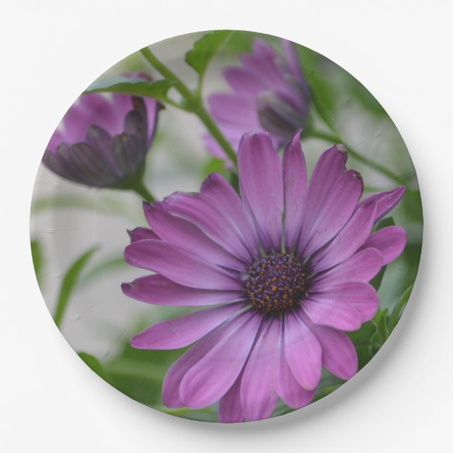 Purple Daisy Paper Plate (Front)