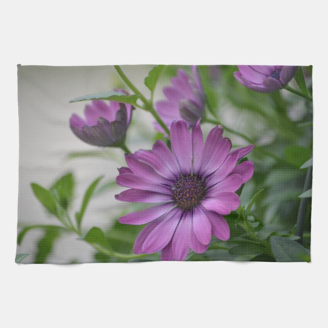 Purple Daisy Tea Towel (Horizontal)