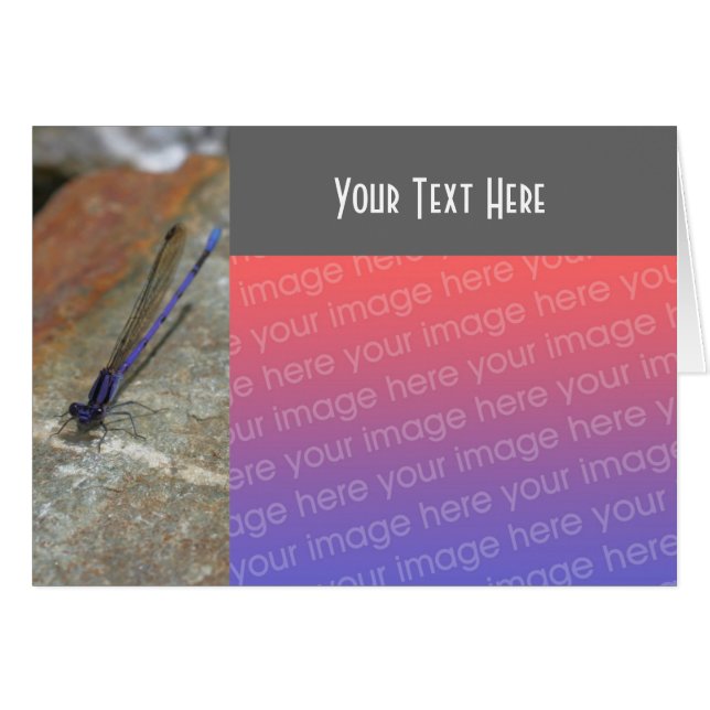 Purple Damselfly Nature Photo Card (Front Horizontal)