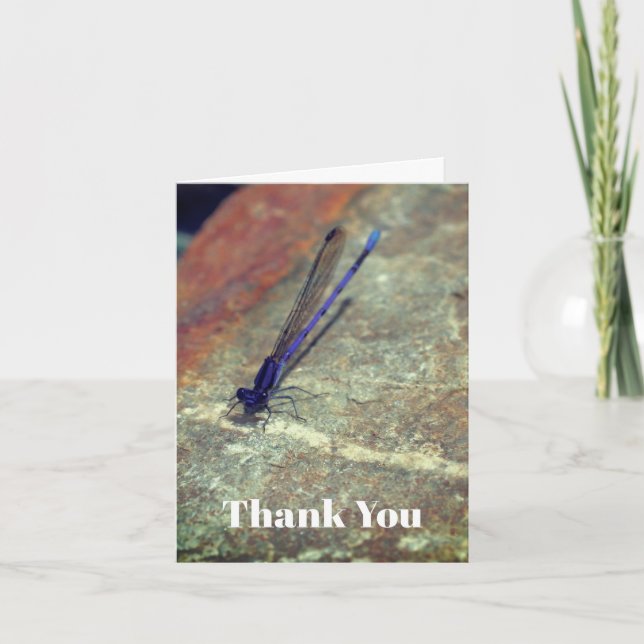 Purple Damselfly Nature Thank You Card (Front)