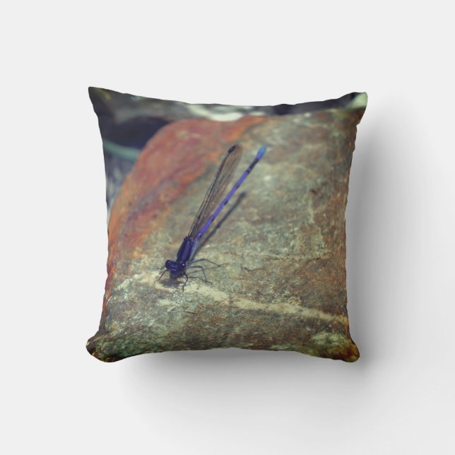Purple Damselfly Posing On Rock Close Up  Cushion (Front)