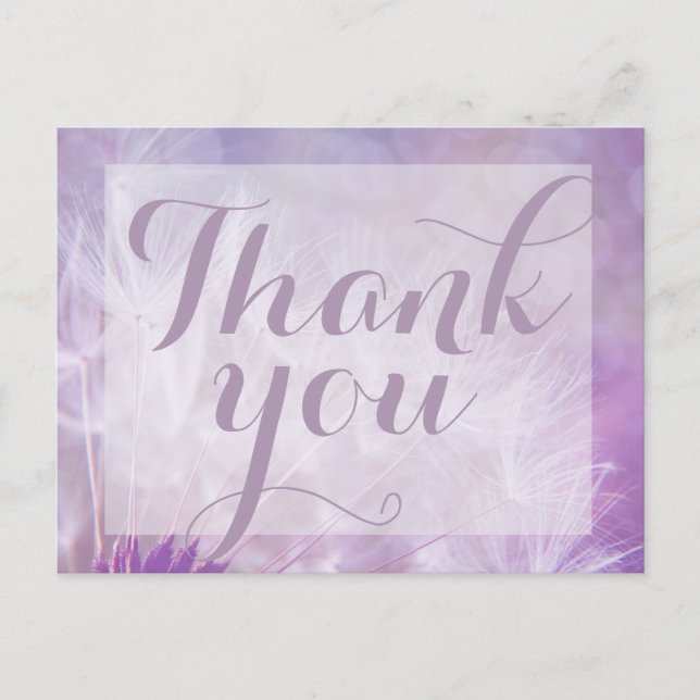 Purple Dandelion Thank you post card (Front)