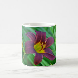 Purple Day Lily Mug