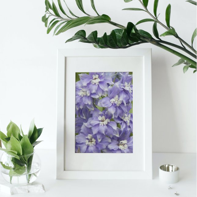 Purple Delphinium Blooms Floral Photo Print (In Situ Framed)