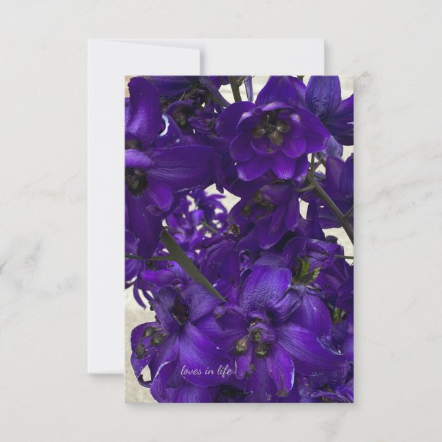 Purple Delphinium Card (Front)