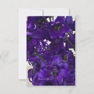 Purple Delphinium Card