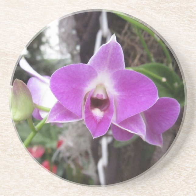 Purple Dendrobium Orchid Coaster (Front)