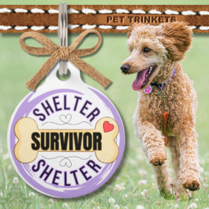 Purple Dog Bone Shelter Survivor Pet Tag
