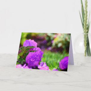 Purple Double Wax Begonias, Blank Inside Card