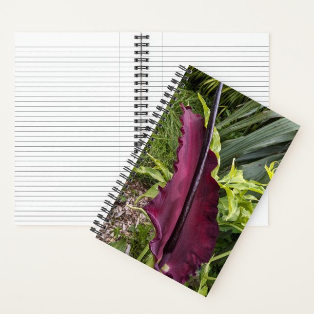 Purple Dragon Lily Bloom Botanical Notebook (Inside)