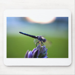 Purple Dragonfly Mouse Mat