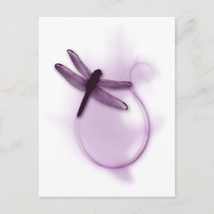 Purple Dragonfly Postcard