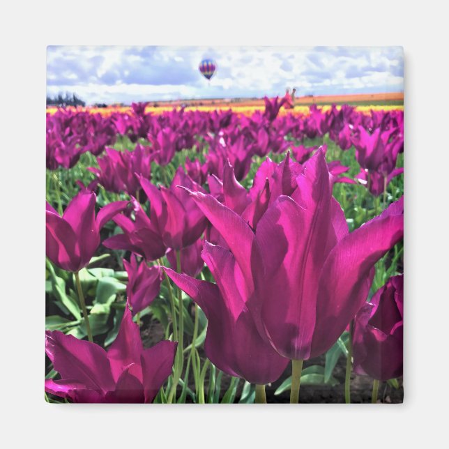 Purple Dream Tulips Magnet (Front)