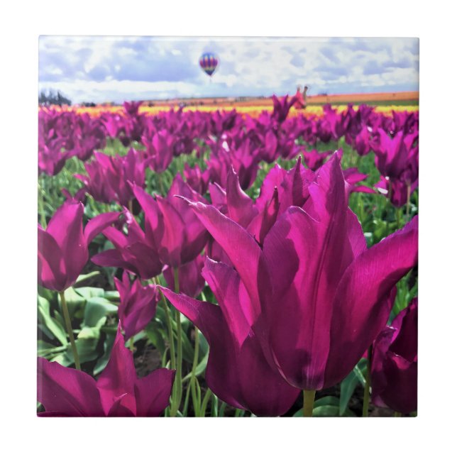 Purple Dream Tulips Tile (Front)