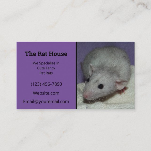 Purple Dumbo Rat Breeder Rattery Business Card (Front)