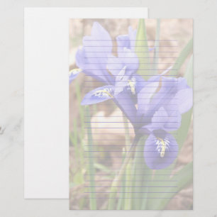 Purple Dwarf Iris Floral Lined Paper Stationery