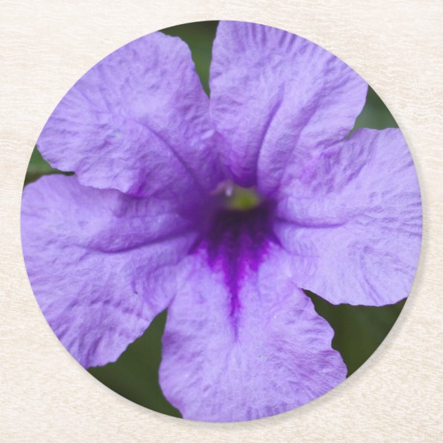 Purple Dwarf Mexican Petunia Round Paper Coaster (Front)