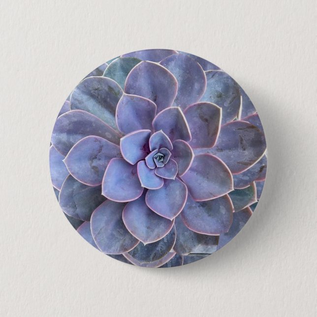 Purple Echeveria Succulents 6 Cm Round Badge (Front)