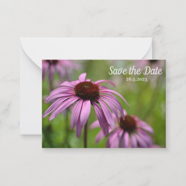 Purple Echinacea Cone Flowers Save the Date Card (Front)
