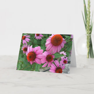 Purple Echinacea Ecclesiastes Bible Verse Birthday Card