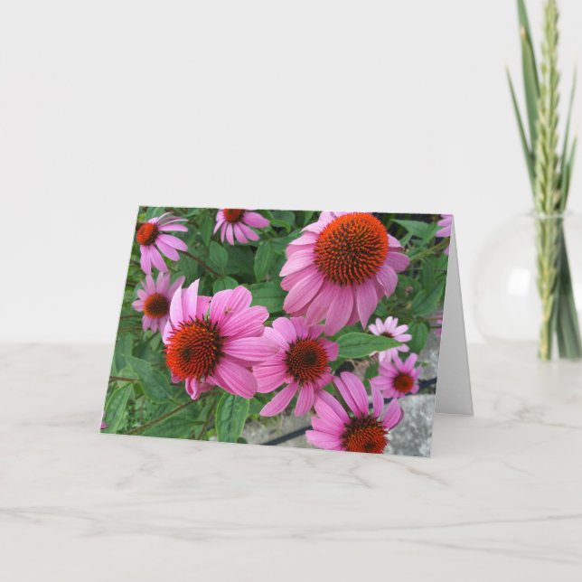 Purple Echinacea Ecclesiastes Bible Verse Birthday Card (Front)