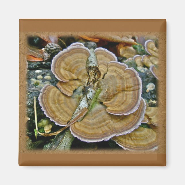 Purple Edge Shelf Fungus Coordinating Items Magnet (Front)